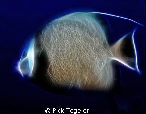 Gray Angel by Rick Tegeler 